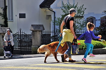 osoba, hospodářství, dívka, chůze, pěší, pruh, ulice, lidé, dítě, žena, území města