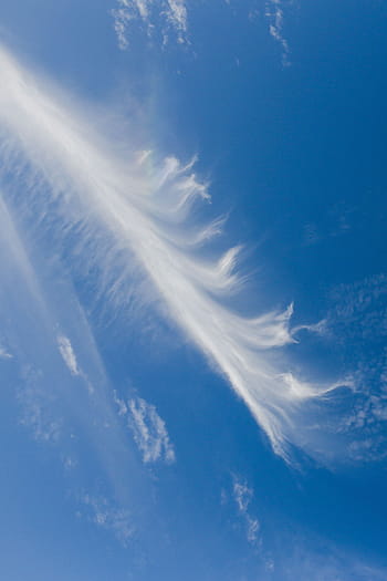 曇りの青い空、 曇り、 青い空、 空、 青、 雲、 晴れ、 自然、 天気、 空気、 日