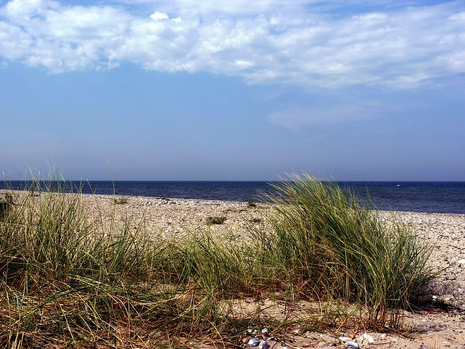 fehmarn, fehmarn belt, baltic sea, beach, summer, buoys village