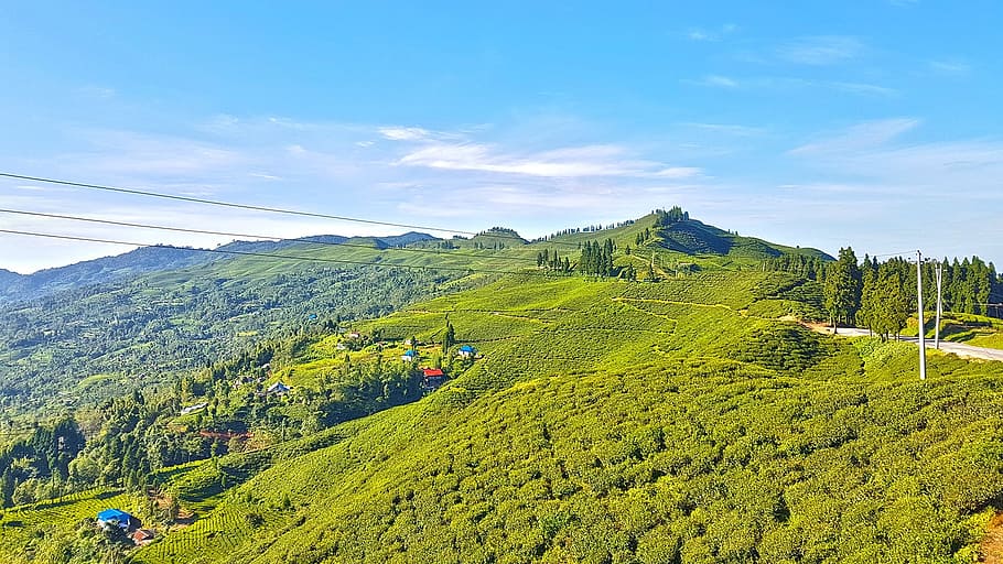 zelená, listy stromů, modrý, bílý, zataženo, nebe, během dne, kanyam, ilam, Nepál, nebe na zemi