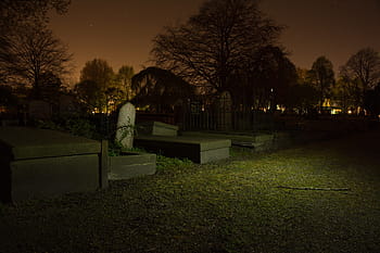 graveyard, graves, tree, spooky, night, tombstones, cemetery, creepy, dark, death, dead