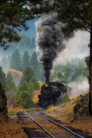 black, train, surrounded, trees, steam engine, engine, smoke, train tracks, railroad, locomotive, old