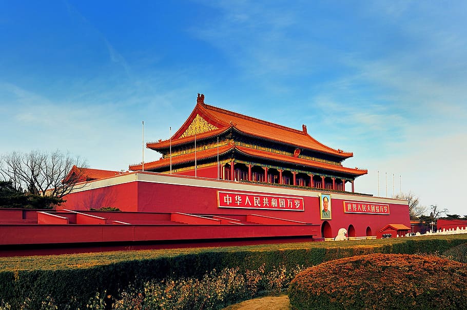 Černá, holý, strom, Červené, chrám, Peking, Národní muzeum paláce, náměstí Nebeského klidu