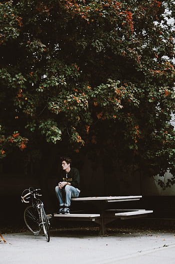 man, sitting, bench, facing, bike, autumn, bicycles, black, green, men, orange