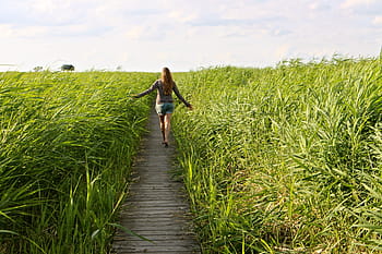 donna, a piedi, campo d'erba, alto, erba, camminare, rilassare, godere, erbe, erba alta, natura