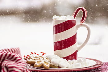 white, red, striped, mug, marshmallows, plate, cocoa, hot chocolate, candy cane, snow, holiday