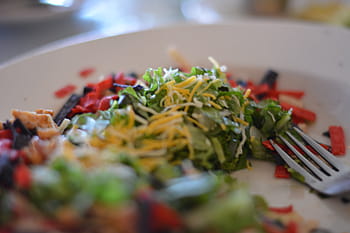 vegetables on plate, vegetable, salad, plate, stainless, steel, prong, spoon, lettuce, vegetables, healthy