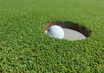 beyaz, Golf topu, delik, gündüz, golf, eingelocht, top, deliğin etrafındaki çimenlik, vurmak, isabetler, kâr