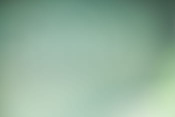 clean, background, blur, green, soft, clean background, light, color background, soft background, bright, blurred