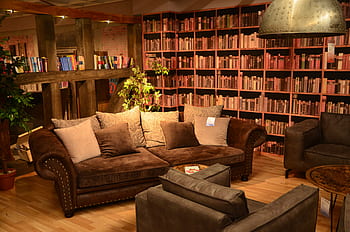 library, read, knowledge, book, literature, learn, antique, retro, shelf