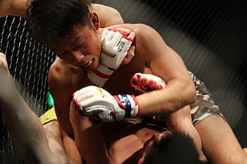 mma, grachan, mixed martial arts, japan, martial arts, cage, gloves, maza, maza fight, sport, muscular Build