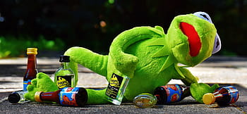 green, frog, plush, toy, kermit, drink, alcohol, drunk, rest, sit, figure