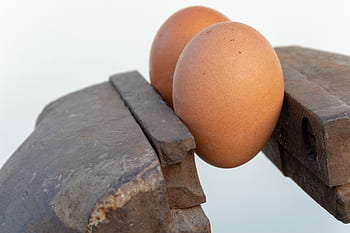 egg, press, metal, vise, white, pressure, isolated, vice, strength, stress, screw