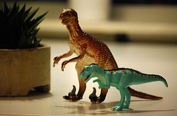 mělký, zaostřovací fotografie, dva, hračky dinosaurů, dinosaurus, hračka, T rex, zvíře, netvor, jurský, dino