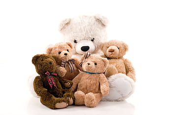 five, assorted-color, bear, plush, toys, misiek, the mascot, studio, white, beige, brown