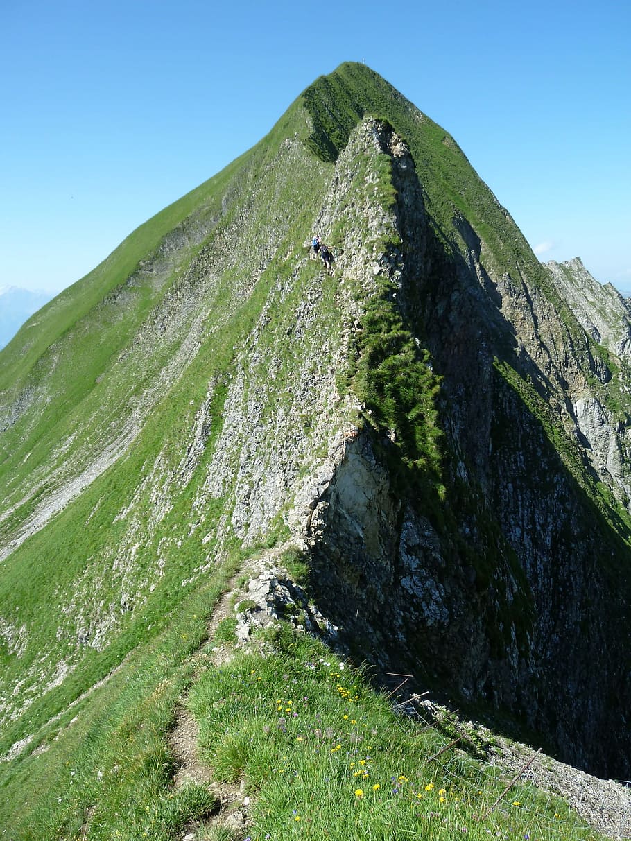 caminhada na corda bamba, bergtour, brienz red horn cume, verão, alpino, grasberg, cume da grama, trilha, natureza, montanha, paisagem