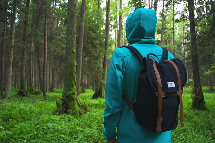 person, wearing, green, hoodie, black, backpack, standing, forest, daytime, adventure, hike
