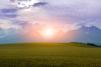 green, lawn grass, sunset, green grass, file, summer, sun, mountains, nature, sunlight, sunrise