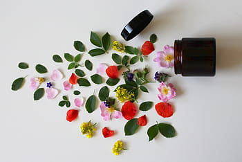 Červené, růžový, žlutá, zelená, květiny, přírodní kosmetika, kosmetika, krása, péče o kůži, wellness, péče