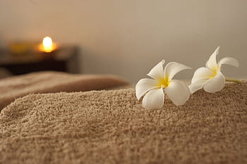iki, beyaz, Petaled çiçekler, kahverengi, havlu, gevşeme, spa, masaj, frangipani, çiçek, doğa