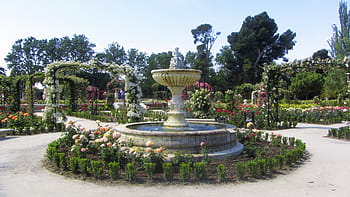 park, virágok, természet, tavaszi, virág, kert, nagyvárosi park, forrás, városi természet, eltávolítás, Madrid