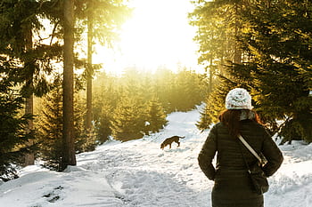 snow, winter, white, cold, weather, ice, trees, plants, nature, people, woman