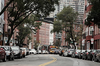 vehicles, parked, buildings, daytime, cars, roadside, boston, city, streets, roads, school bus