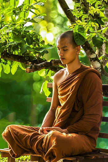 muž, nošení, hnědý, oblek mnichů, sedící, lavice, strom, rozjímání, mnich meditoval, theravada buddhismus, náboženství