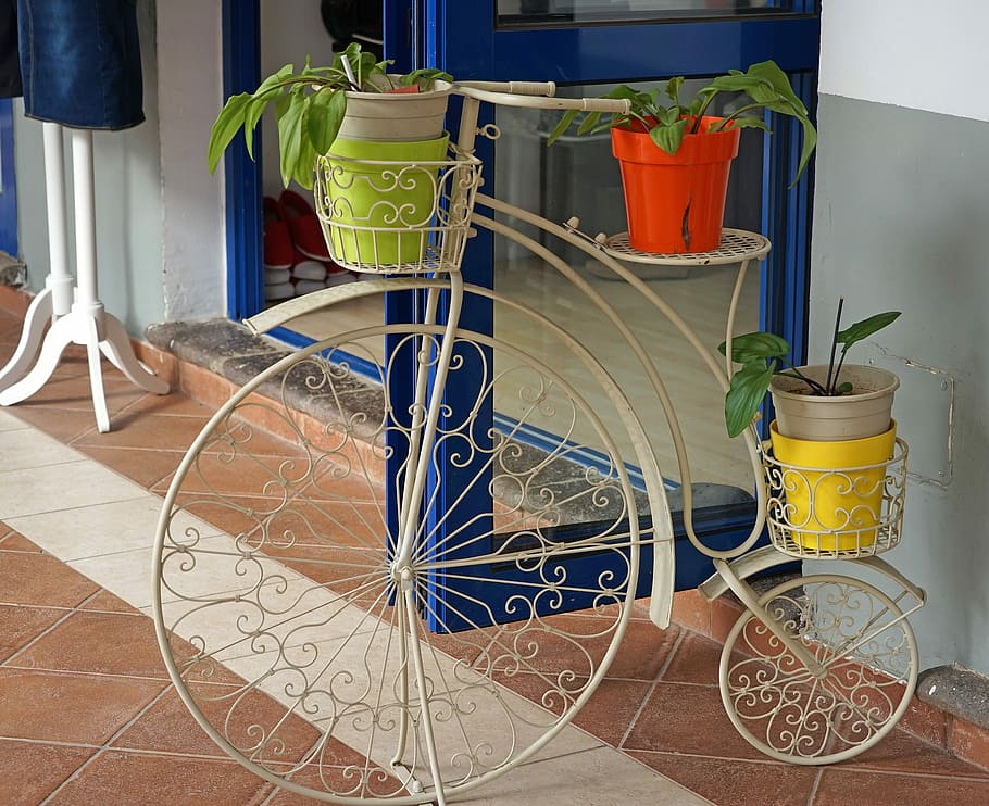 Bike, Decoration, Nostalgia, Plant, indoors, housework, washing, domestic life, hygiene