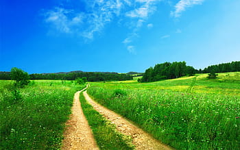fotografia di riferimento, strada, circondato, erba, punto di riferimento, fotografia, natura, scena rurale, paesaggio, cielo, all'aperto