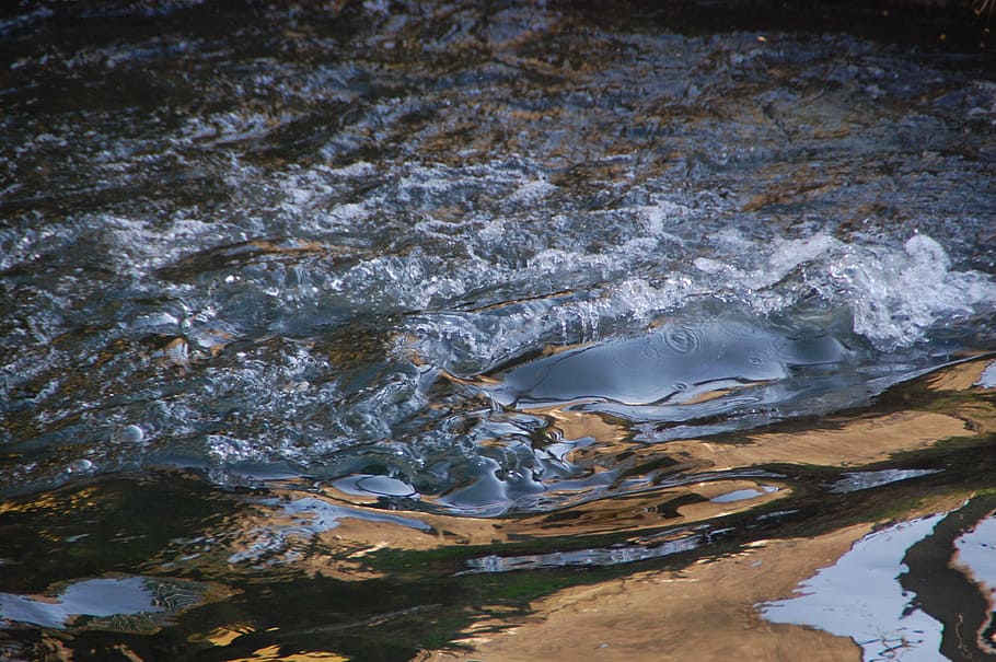 water, mehaigne, movement, river, nature, flow