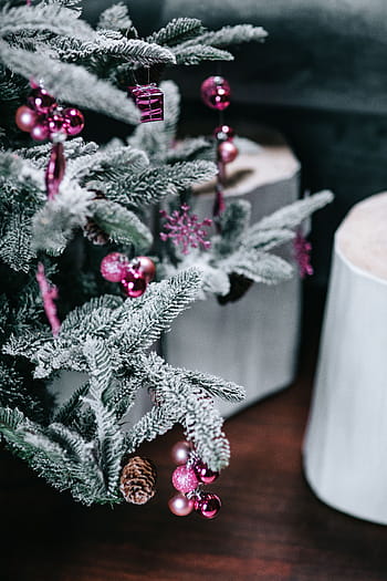 クリスマスツリーの装飾、 クリスマスツリー、 装飾、 ツリー、 クリスマス、 クリスマスボール、 ボール、 冬、 クリスマスの飾り、 クリスマスの装飾、 赤