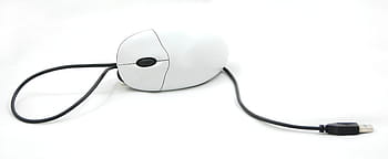 nero, bianca, con filo, topo, computer, esso, attrezzatura, componenti, tecnologia, mouse del computer, cavo