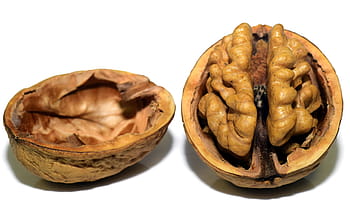 walnut, shell, white, surface, nut, nutshell, open, brain, head, coils, curves