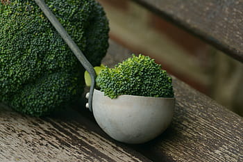 yeşil, yaprak bitkisi, beyaz, tencere, Brokoli, sebzeler, sağlıklı, pişirmek, beslenme, frisch, vegan