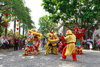 skok, lev, rok, Hodně štěstí, Čína, tet, nový rok, město, nha trang, Vietnam, lidé