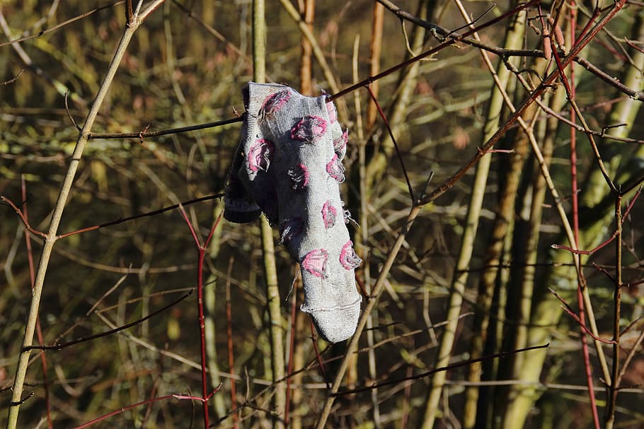ponožka, oblečení, dítě, chybějící, Vyhledávání, dětské oblečení, oděv, ztracený, zapomenout, venku, nikdo