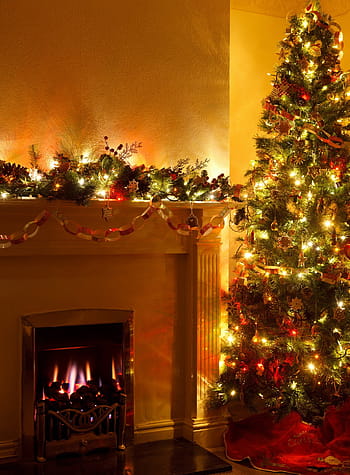 green, pre-lit tree, fireplace, cozy, december, decoration, eve, festive, fire, flame, glow
