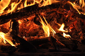 bonefire, burning, charcoal, bonfire, fire, flames, wood, logs, flame, heat - temperature, night