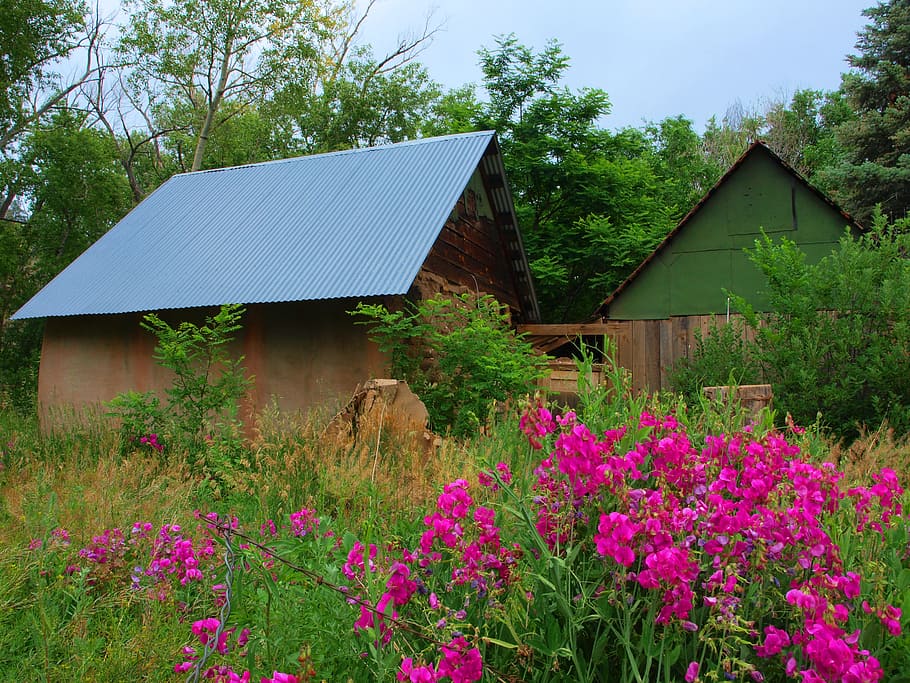 homestead, house, architecture, building, residential, country, rural, structure, green, farmhouse, grass