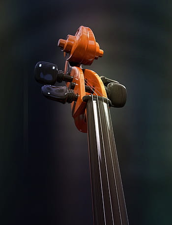Marrone, nero, strumento a corde per chitarra, violoncello, stringhe, strumento a corda, dettaglio, collo, lumaca, legna, strumento