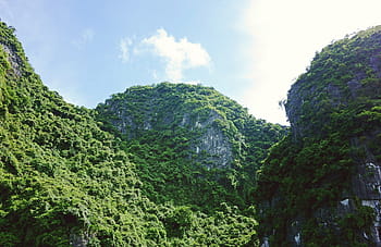 Rolling Hills, hutan, bukit, inspirate, alam, pohon, Warna hijau, di luar ruangan, lanskap, pemandangan, hutan hujan tropis