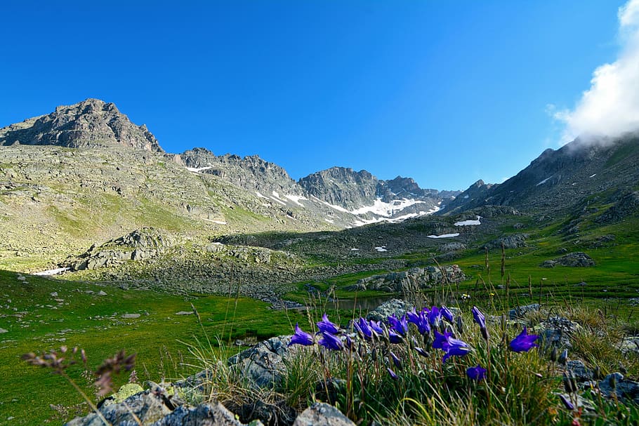 krocan, Příroda, krajina, kaçkars, přírodní krůta, příroda krajiny, nebe, tráva, hora, zelená, ispir