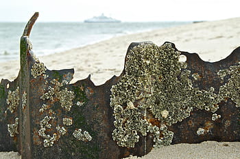 sylt, loket, Severní moře, duna, přírodní rezervace, severní Německo, nebe, Příroda, mraky, větrný, krajina