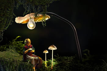 fantasy, girl, forest, mushrooms, light, lamp, book, read, composing, fairy tales, mood