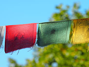 buddhista, vlajky, modlitby, tibetans předmět-girlandy, pozlátko, vítr, vzorců, posvátný