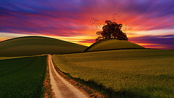 Landschaftsfotografie, Grün, Hügel, Feld, Pflanzen, Landwirtschaft, Bauernhof, Landschaft, Natur, Hochland, Baum