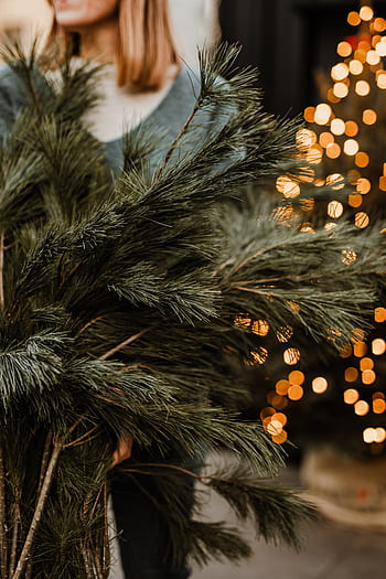 ramas de pino, pino, mujer, árbol de navidad, árbol, rubia, navidad, feriado, diciembre, tenencia, ramas