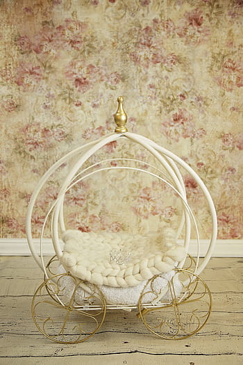 white, carriage, floral, mat, baby, princess, newborn, digital backdrop, cinderella, decoration
