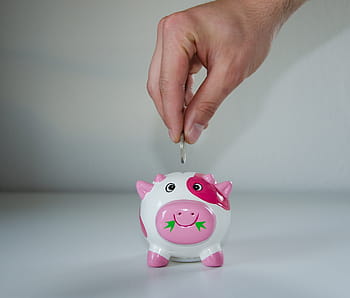persona, mettendo, moneta, bianca, rosa, rosso, salvare, i soldi, economico, ceramica, finanza